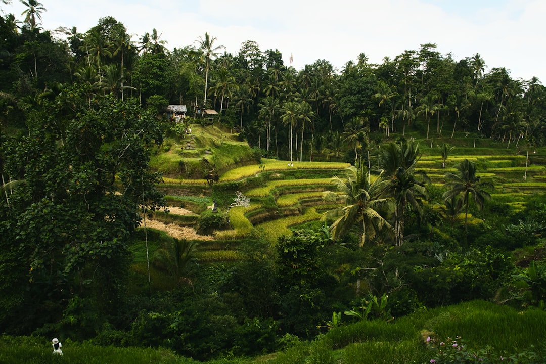 Bali - The Island of the Gods